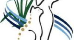 Veterinary Neurology & Imaging of the Chesapeake