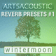 Lunar Pole Pres. ArtsAcoustic Reverb Presets Vol. 1