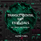 Transcendental MIDI Essentials Vol. 2