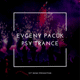 ProgPsyTrance FL Studio Project by Evgeny Pacuk