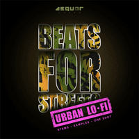Urban Lo-Fi Beats For Streets