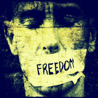 Freedom - 2 in 1 Trance Ableton Live Template