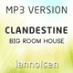 Iannolsen - Clandestine