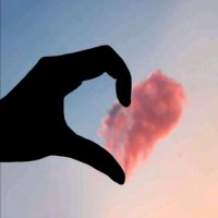 LaSoulDistribution