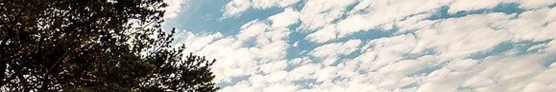 kuzmich profile cover