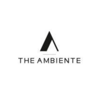 theambiente profile avatar