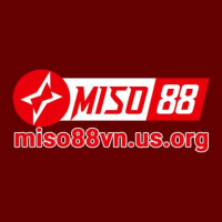 miso88vnusorg profile avatar
