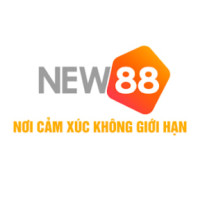 new88848com profile avatar