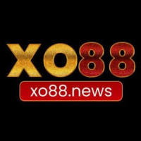 xo88news profile avatar