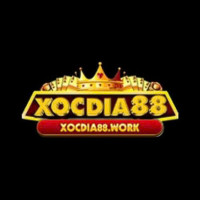 xocdia88work profile avatar