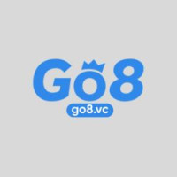go8vc profile avatar