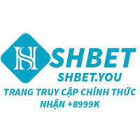 shbetyou profile avatar