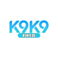 k9k9de profile avatar