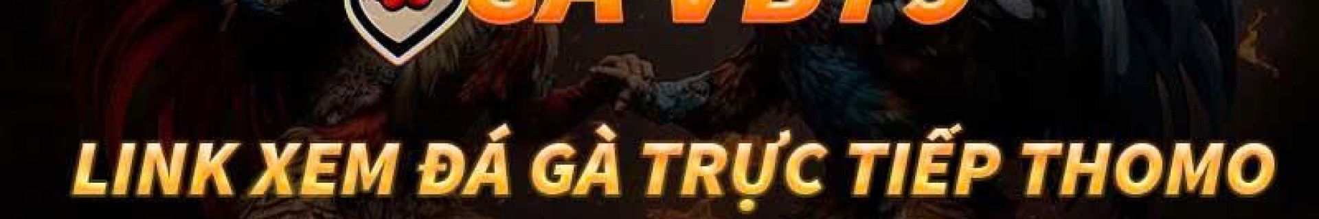 gavb79com profile cover