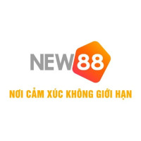 new88biz profile avatar