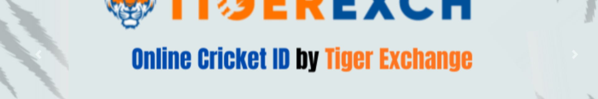 dmtigerexch profile cover