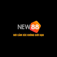 betnew888com profile avatar