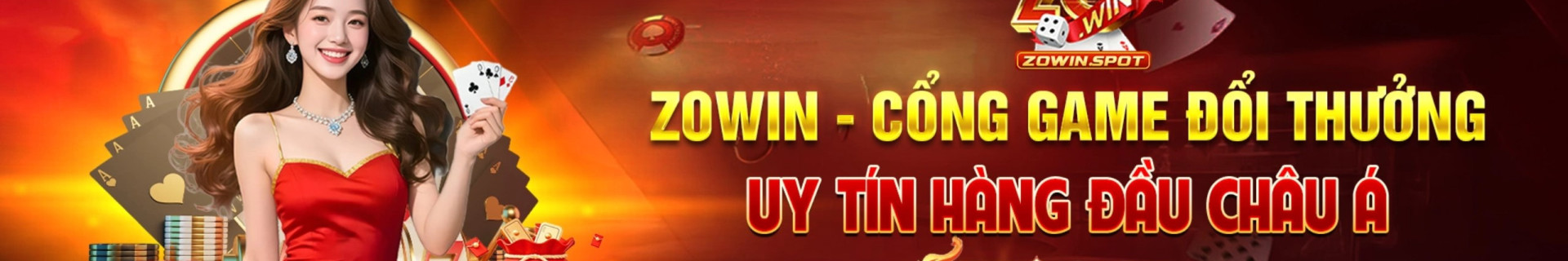zowinspot profile cover