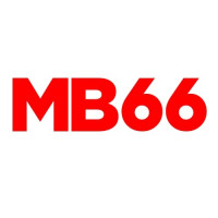 mb66life profile avatar