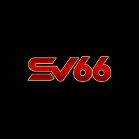 sv66zcocom profile avatar