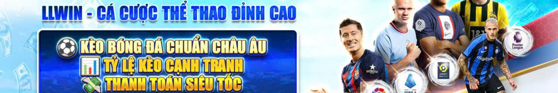 llwinto profile cover