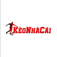 tylekeonhacaila profile avatar