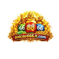 soicau666itcom profile avatar