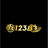 123b1sacom profile avatar