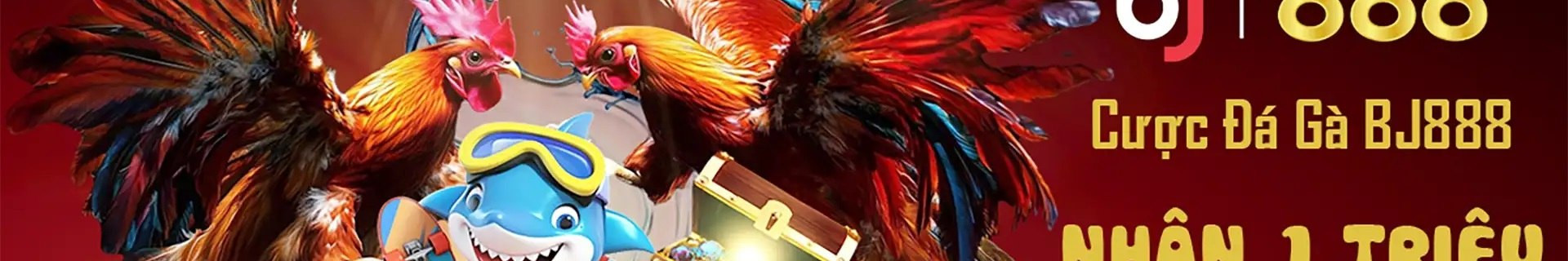 fatwanetnet profile cover