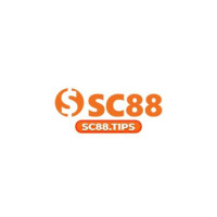 sc88tips profile avatar