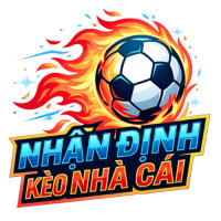 nhandinhnhacaicom profile avatar