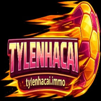 tylenhacaischool profile avatar