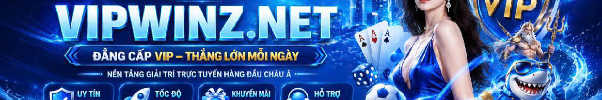 vipwinznet profile cover