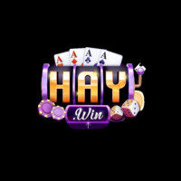 haywin2026com profile avatar