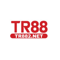 tr882net profile avatar