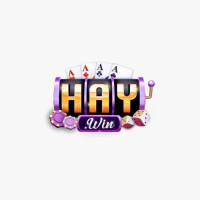 haywin1innet profile avatar