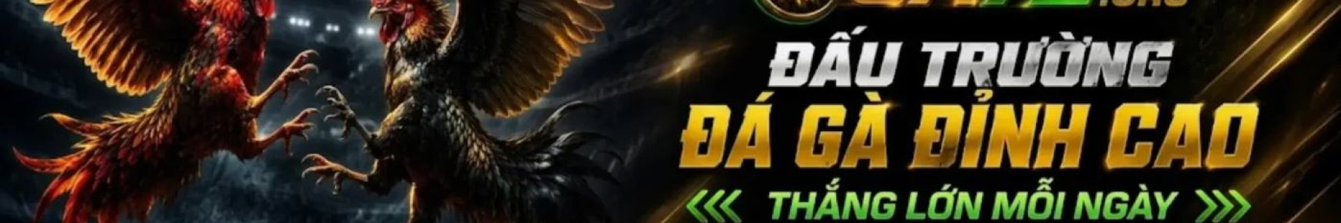 ga72org profile cover