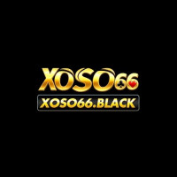 xoso66black1 profile avatar