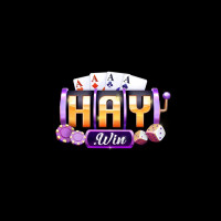 haywincocom1 profile avatar