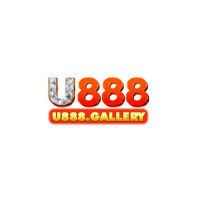 u888galleryy profile avatar