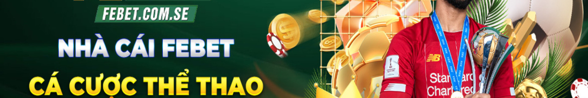 febetcomse profile cover
