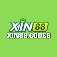xin88codes profile avatar