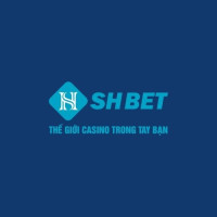 shbetcomcoo profile avatar