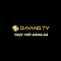 gavangtvsbs profile avatar