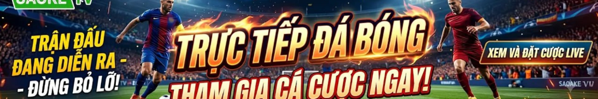 saoketvitcom profile cover