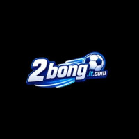 2bongitcom profile avatar