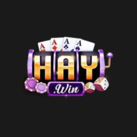 shaywincom profile avatar