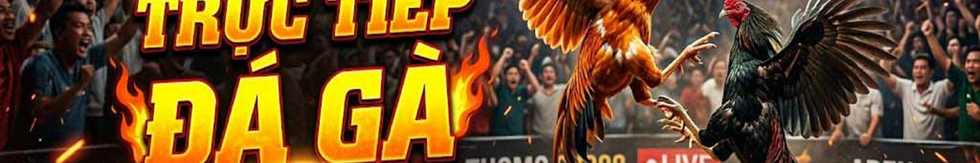 tongga88my profile cover